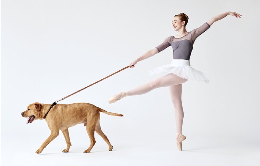 dancers and dogs
